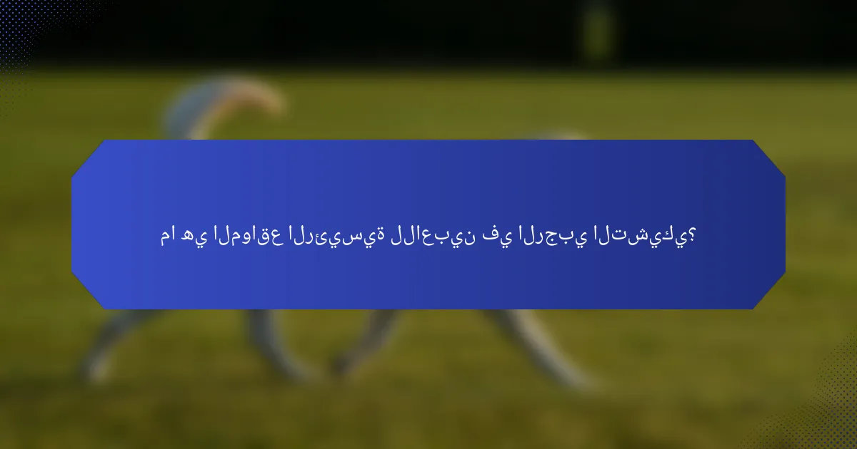 ما هي المواقع الرئيسية للاعبين في الرجبي التشيكي؟